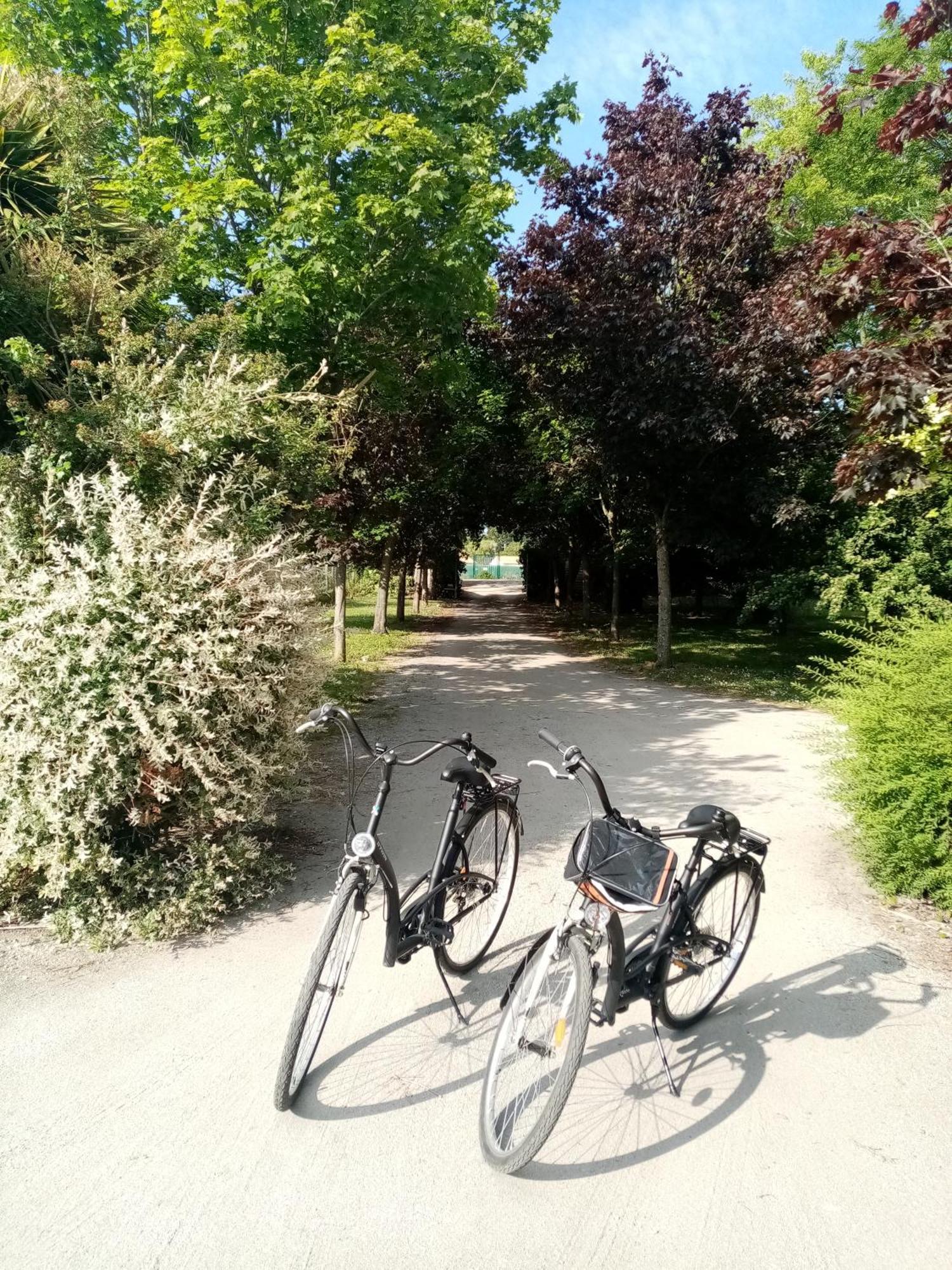 L'Eden Naturiste Spas Challans Rum bild